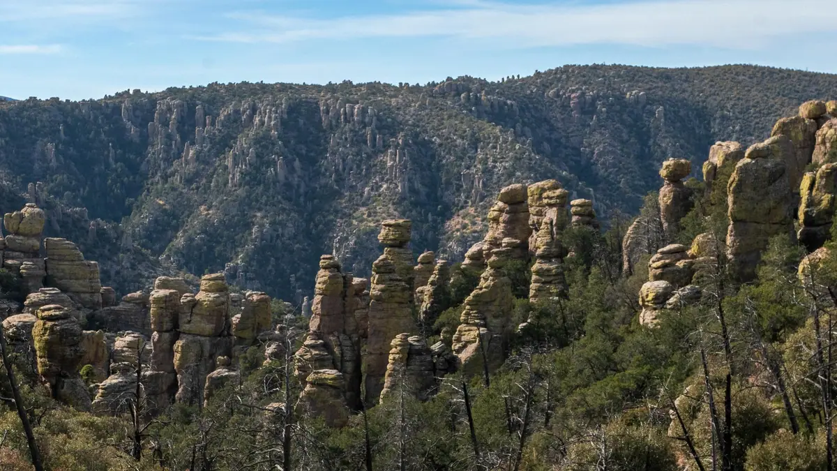 Rock pinnacles and balanced rocks above a forested canyon at Chiricahua National Park, Arizona