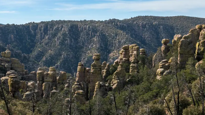 Rock pinnacles and balanced rocks above a forested canyon at Chiricahua National Park, Arizona